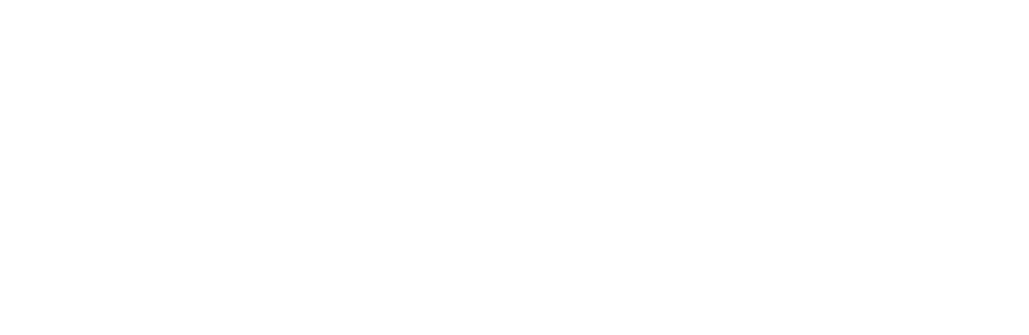 Selatech logo